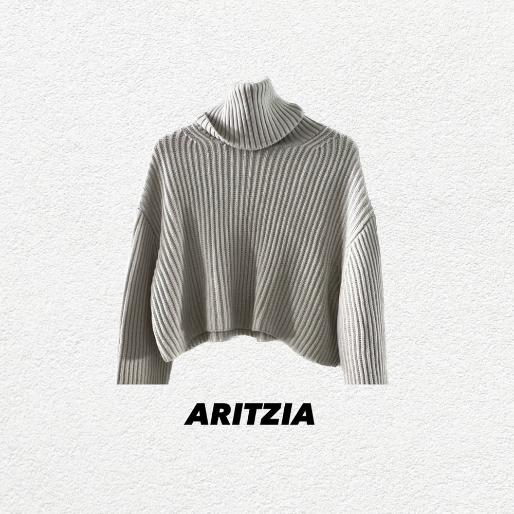 Babaton Funnel Sweater (XXS)